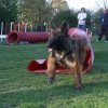 agility 2011-04